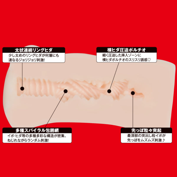 ＪＡＰＡＮＥＳＥ　ＲＥＡＬ　ＨＯＬＥ　淫　夢乃あいか